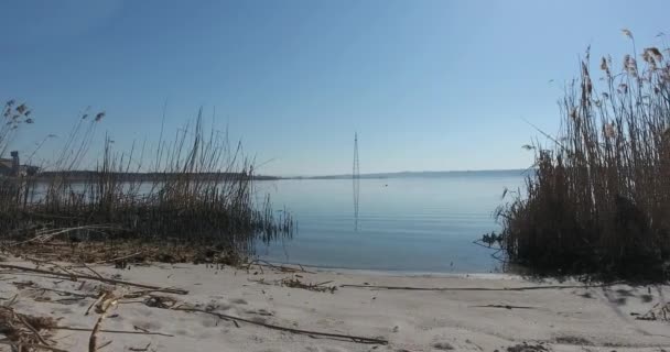 View from above shore with dry reeds on morning river, working ships — Stock Video