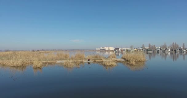 Aerials vista Operatore di drone sulla riva del fiume sullo sfondo della città — Video Stock