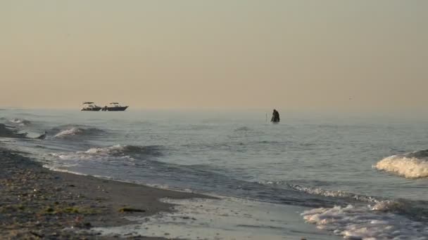 Muž od pasu ve vodě oceánu úlovky ryb nebo kraba poblíž pobřeží, brzy ráno — Stock video
