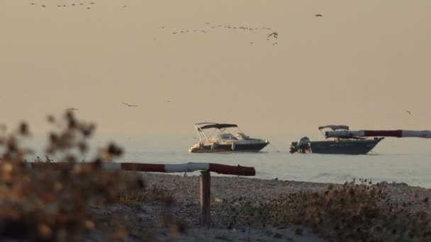 Aves vuelan en bloqueo sobre el agua del océano y sobre yates de placer pasado, temprano en la mañana — Vídeos de Stock