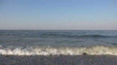 Okyanus suyu çok düşük, erken sabah, geçiş üzerinde bir sürü kuş uçmak
