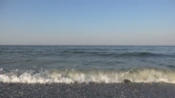 Las aves vuelan en una bandada sobre el agua del océano muy bajo, temprano en la mañana, la migración — Vídeos de Stock