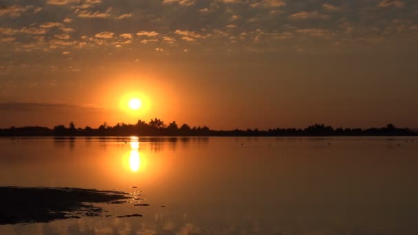 大規模な水と地平線上の木の背景と幻想的な夕日 — ストック動画