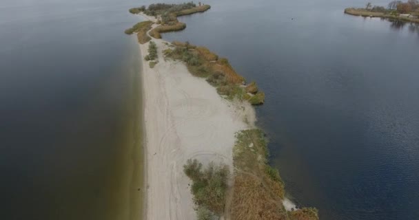 Luchtfoto van zandstrand scythe begroeid met riet en bomen. In de avond storm — Stockvideo