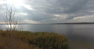 Hareket dronun tükürmek kum ve fırtına gökyüzü nehire karşı kuru ağaç çevresinde