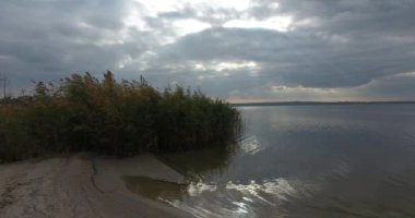 Fırtına öncesi sessizlik sakin bir nehir üzerinde yeşil sazlık üzerinde dronun hareketi