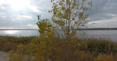 Hareket dronun tükürmek kum ve fırtına gökyüzü nehire karşı yeşil ağaç çevresinde