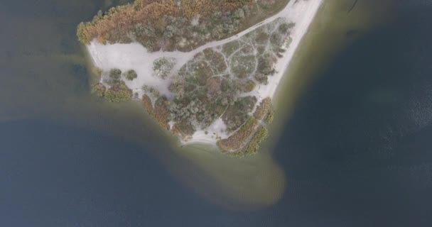 Biraz bitki örtüsü ve güzergahları ile kumlu bir adanın havadan görünümü — Stok video