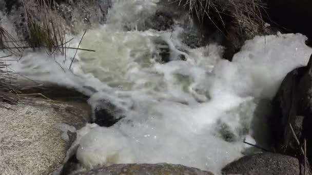 Rychlá horská řeka do hlubokého kaňonu v národním parku Ukrajina — Stock video