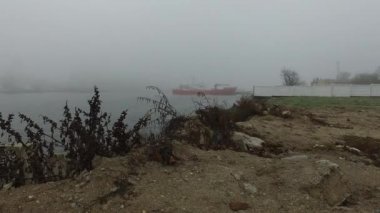 Beyaz sisli sonbahar nehir tersanesinde kuru çimen saplarıyla kumlu sahilden görüntü