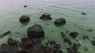 Limandaki körfezin kıyısındaki plastik ve çöp taşlarının arasında kirli yeşil su. Yoğun siste ufuktaki tersane