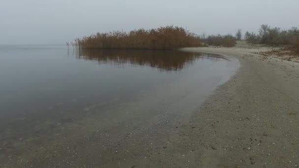 모래가 해변을 은강의 거울처럼 잔잔하고 매끄럽습니다 가을에는 갈대와 — 비디오