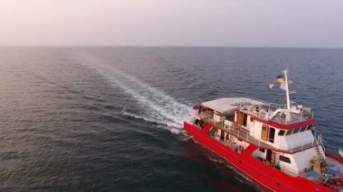 İHA 'dan hava görüntüsü. Katamaran, insanlı araştırma gemisi, açık deniz / okyanus arasında hızla ilerliyor. Yunuslar yakınlarda yüzüyor.