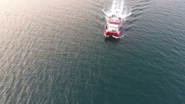 Vue aérienne depuis un drone. Catamaran, navire de recherche habité, bat son plein en haute mer / océan. Les dauphins nagent à proximité 