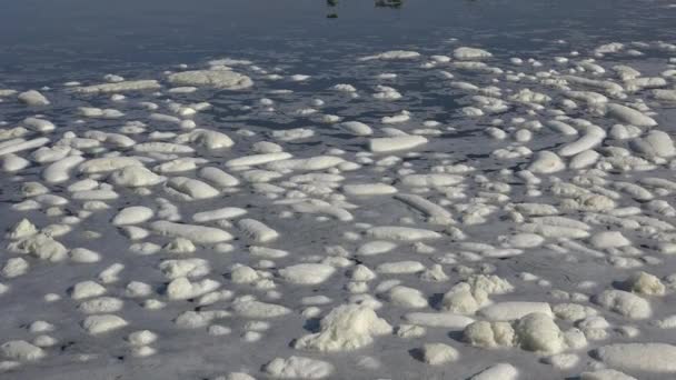 Espuma Blanca Río Verano Cerca Orilla Copos Espuma Como Nieve — Vídeo de stock