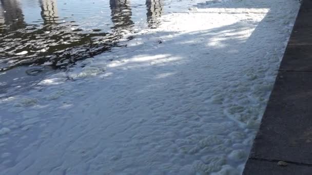 橋の下の海岸近くの夏の川に白い泡 雪のような泡のフレーク — ストック動画