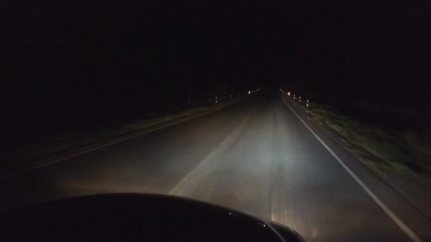 Ночная Дорога Шоссе Через Туннель Деревьев Лесу Свет Автомобильных Фар — стоковое видео