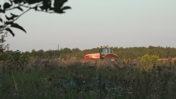 拖拉机在播种机上播种干枯的黑土 在大片农田上播种小麦 冒出浓烟 — 图库视频影像