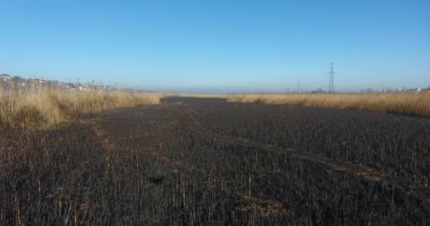 Flygfoto Landskap Flodbanken Efter Stor Brand Mitt Dagen Med Middagssol — Stockvideo