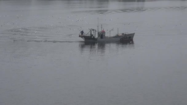 Vista Aérea Pequeño Barco Pesquero Viejo Captura Peces Medio Del — Vídeos de Stock