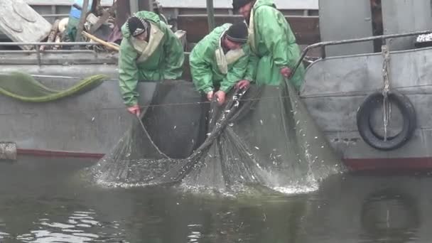 Mykolaiv Ukraine Okt 2019 Drei Männer Ziehen Mit Ihren Händen — Stockvideo