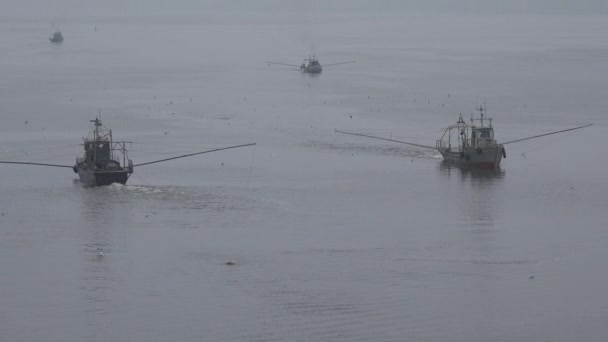 空中风景 在河中央有拖网渔船的小渔船 许多海鸥四处飞来飞去等鱼 — 图库视频影像