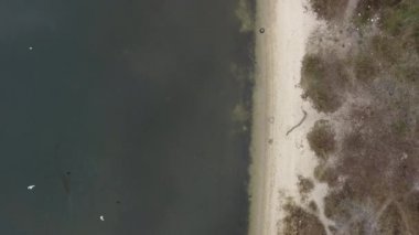 Hava görüntüsü. Tarih öncesi çağın canavarı Ejderha, sahil boyunca su altında yüzüyor, Ness Canavarı.