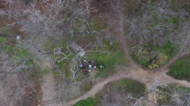 Aerial View Group Cyclists Trees Park Going Walk — Stock Video