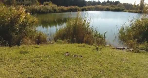 풀에서 공중으로 드론을 들어올리고 비포장도로 가운데있는 삼각형의 호수의 모습을 바라본다 — 비디오