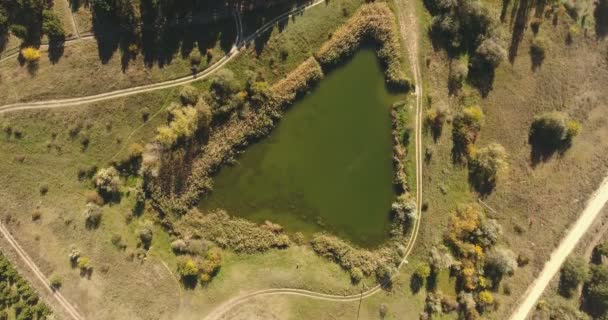 Τριγωνικό Σχήμα Δασικής Λίμνης Ανάμεσα Χωματόδρομους Μέσα Καταπράσινο Θερινό Δάσος — Αρχείο Βίντεο