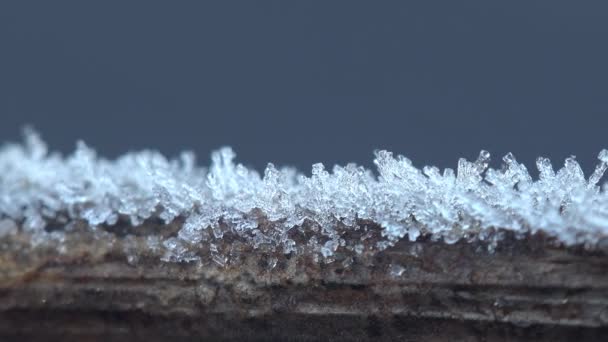 Ice Crystals Grass Stem Horizontally Shine Frosty Sun — Stock Video