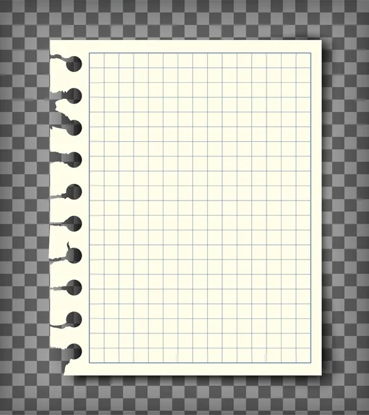 Empty checkered note book page with torn edge — Stock Vector