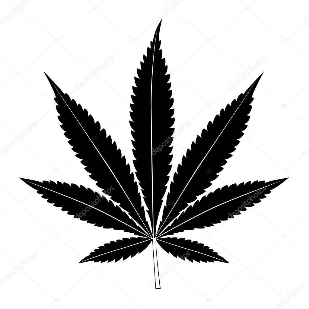 Cannabis leaf isolated on white background. Marijuana silhouette. Vector illustration.