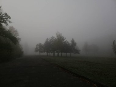 Sisli sonbahar parkında yürü