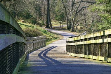 Kuzey Carolina, Raleigh 'deki Neuse nehri boyunca yeşil bir patika.