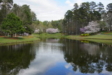 Gölün etrafında patikası olan bir banliyö mahallesine park et.