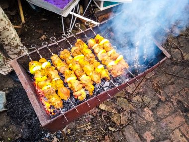 Evde genç bir domuzla barbekü yapmak, şey, çok genç.