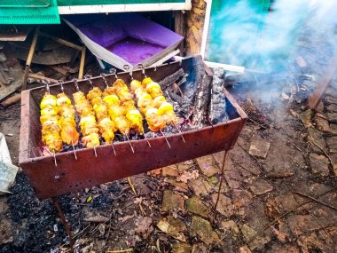 Evde genç bir domuzla barbekü yapmak, şey, çok genç.