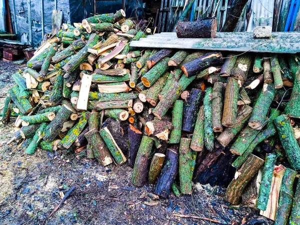 Brennholzernte für den Winter zu Hause Ernte von Brennholz — Stockfoto