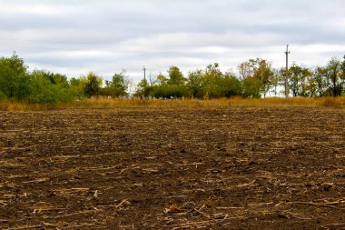 Sonbaharda sürülen tarla. Hasat zamanı. Toprak sürüldü.