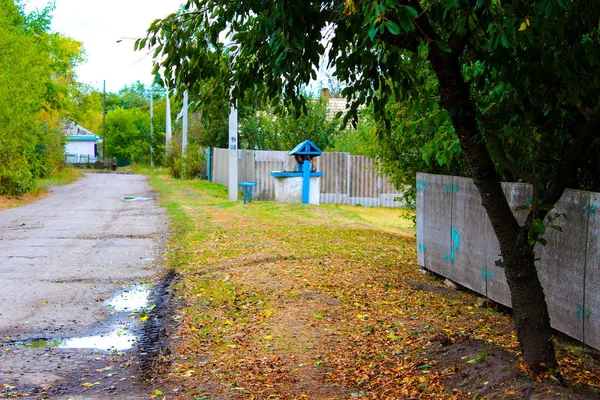 Straße im Park Asphaltstraße Asphaltstraße — Stockfoto