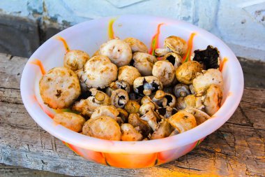 Porcini mantarları bir kasede bir bankta bir sokakta bir bankta bir v