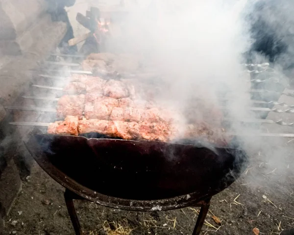 Celebramos o dia da aldeia, como podem kebabs sem carvão em — Fotografia de Stock