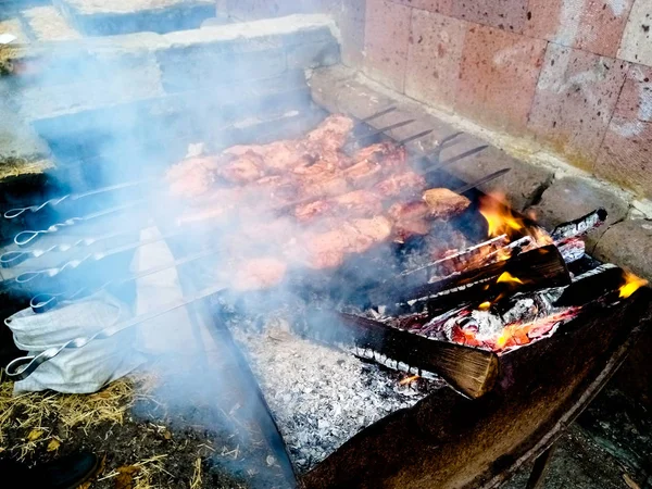 We celebrate the village day, how can kebabs without charcoal on — 스톡 사진