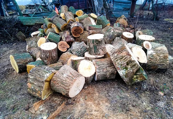 Haufen gesägtes Brennholz für Motorsäge-Kettensäge über Brennholz — Stockfoto