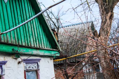 Kiremit çatıda yürüyen bir kedi bacadan duman çıkarıyor.