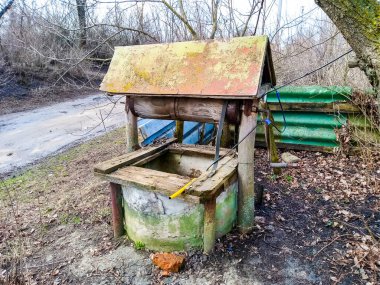 Ormanda ahşap bir bank