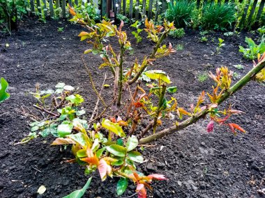 Metalden çıkış kapısı.