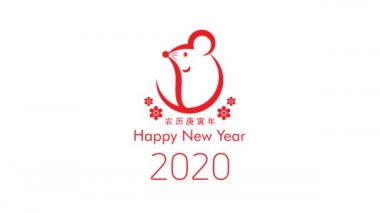 Zarif ve sade yeni yıl 2020 giriş, hareketli video 4k