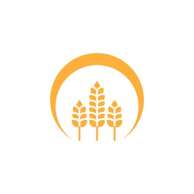 Buğday ya da arpa kulağı. Buğday hasadı, pirinç sapı ve tam ekmek tanecikleri veya tarla tahıllı çavdar tohumu Kulak sembolü.